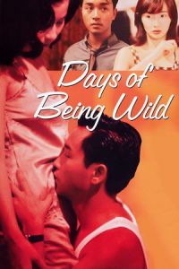 Days of Being Wild (Ah fei zing zyun) (1990)