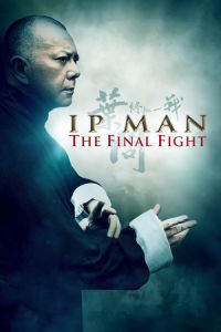 Ip Man: The Final Fight (Yip Man: Jung gik yat jin) (2013)