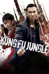 Kung Fu Killer (Yi ge ren de wu lin) (2014)