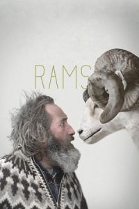 Rams (Hrútar) (2015)