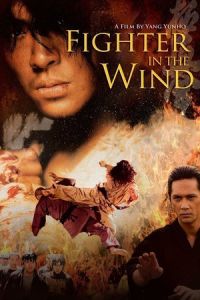 Fighter in the Wind (Baramui paiteo) (2004)