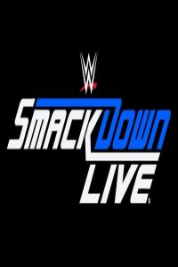 WWE Smackdown Live! 11.04 (2017)