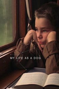 My Life as a Dog (Mitt liv som hund) (1985)